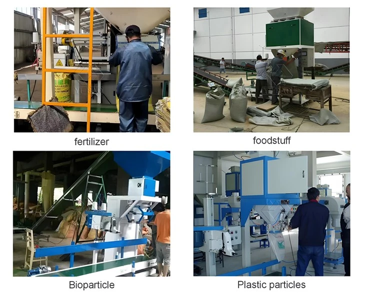 Pellet Filling Packing Machine